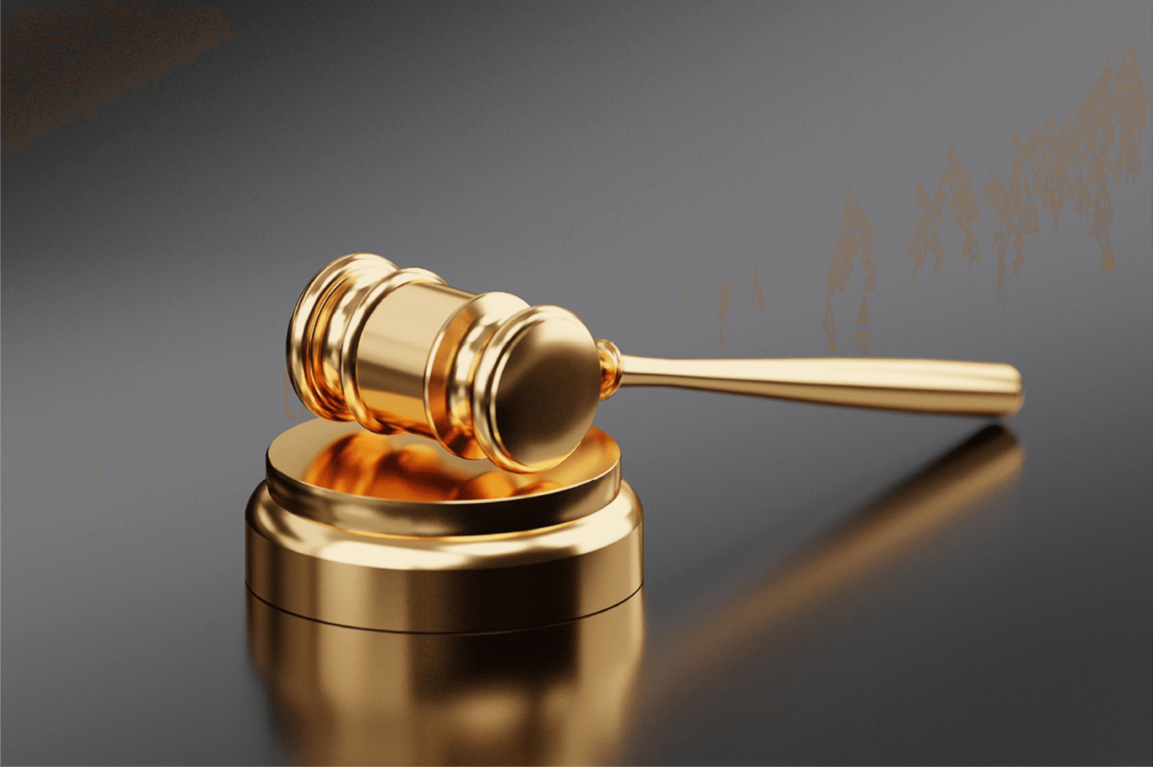 Forensic financial analysis