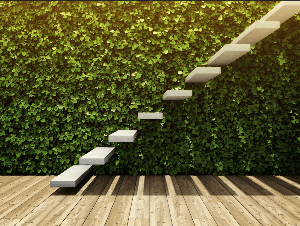 Does the ranking of corporations based on social and environmental reporting give a comfort to investors with regards to the odds of bankruptcy of a company without impacting their medium term financial perfrmance ? cover